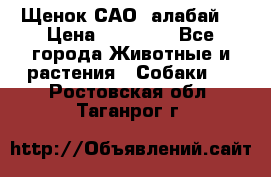 Щенок САО (алабай) › Цена ­ 10 000 - Все города Животные и растения » Собаки   . Ростовская обл.,Таганрог г.